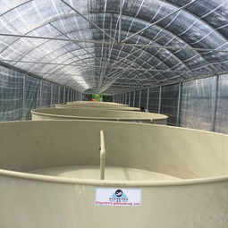 工廠化循環水養殖 走向環保水產養殖的必經之路