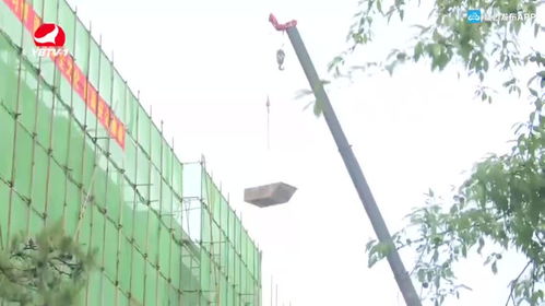長春花開 街上添彩——延吉市加快推進精品街路景觀提升工程